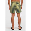 Originals Stripe 15 Zwemshort