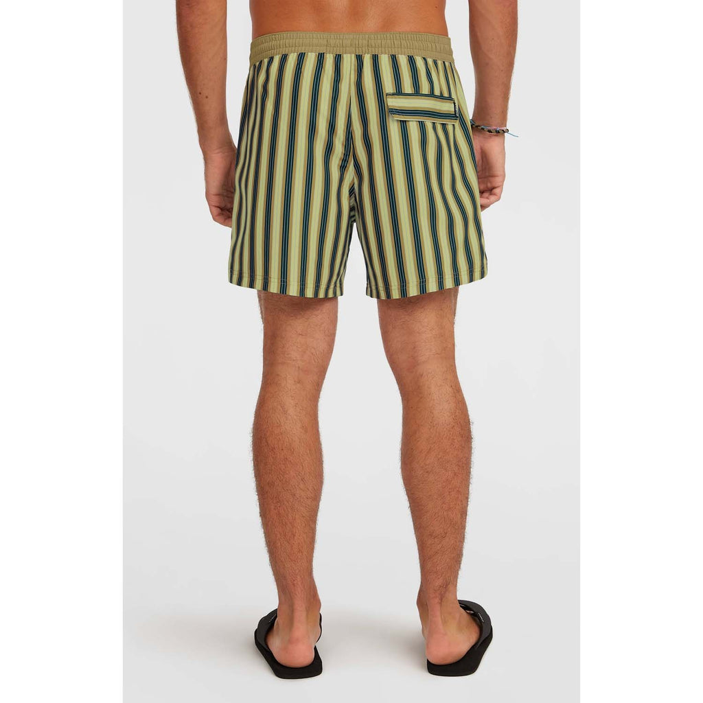Originals Stripe 15 Zwemshort