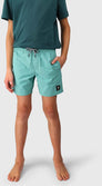 Hestey Boys Swim Shorts