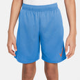 Dri-FIT short