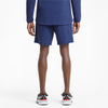 Evostripe Shorts