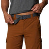 Silver Ridge II Short