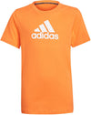Logo kids t-shirt