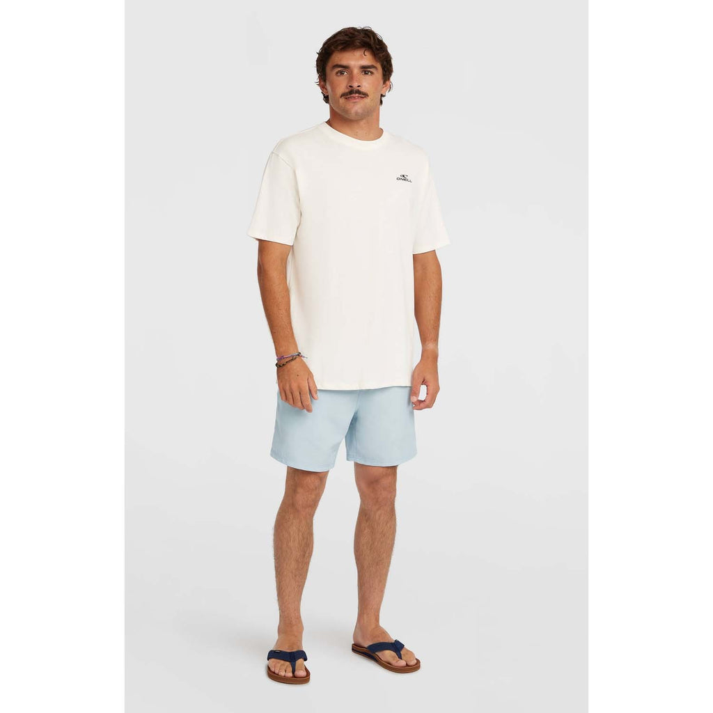 Small Logo T-shirt strand