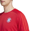 FC Bayern München DNA T-shirt