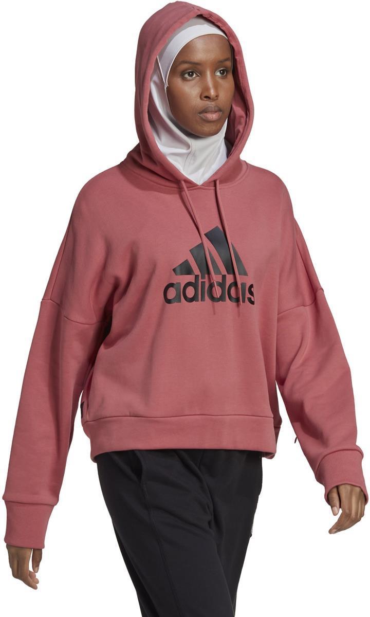 Future Icons Badge of Sport hoodie