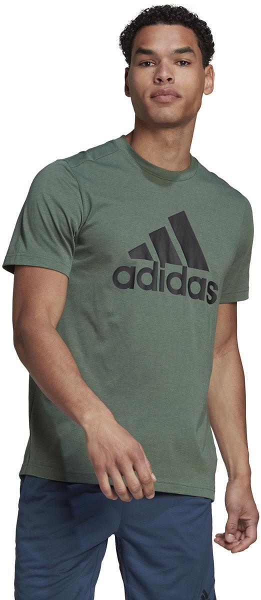 M Fr Lg T