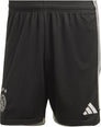 Ajax Amsterdam 3 short