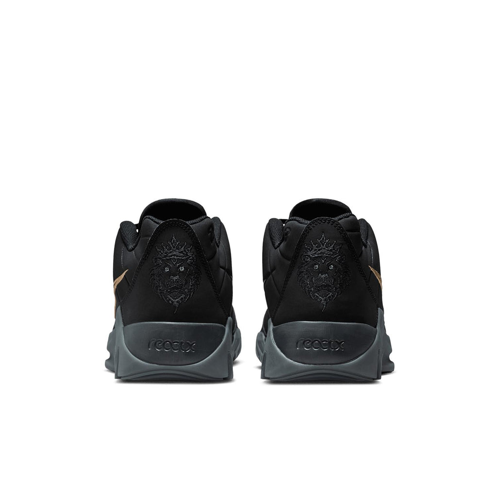 Lebron Witness Ix Basketbalschoenen