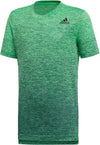 yb tr grad tee