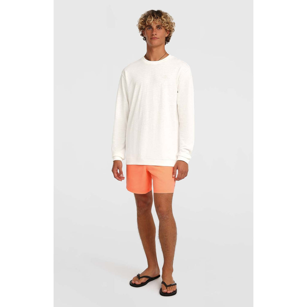 Vert 16 Zwemshort