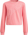 Essentials Logo Sweatshirt