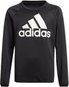 Designed To Move Big Logo sweater