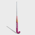 Ina .4 hockeystick