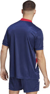 Ajax Amsterdam Icon Voetbalshirt