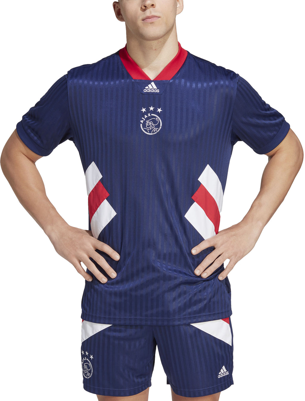 Ajax Amsterdam Icon Voetbalshirt