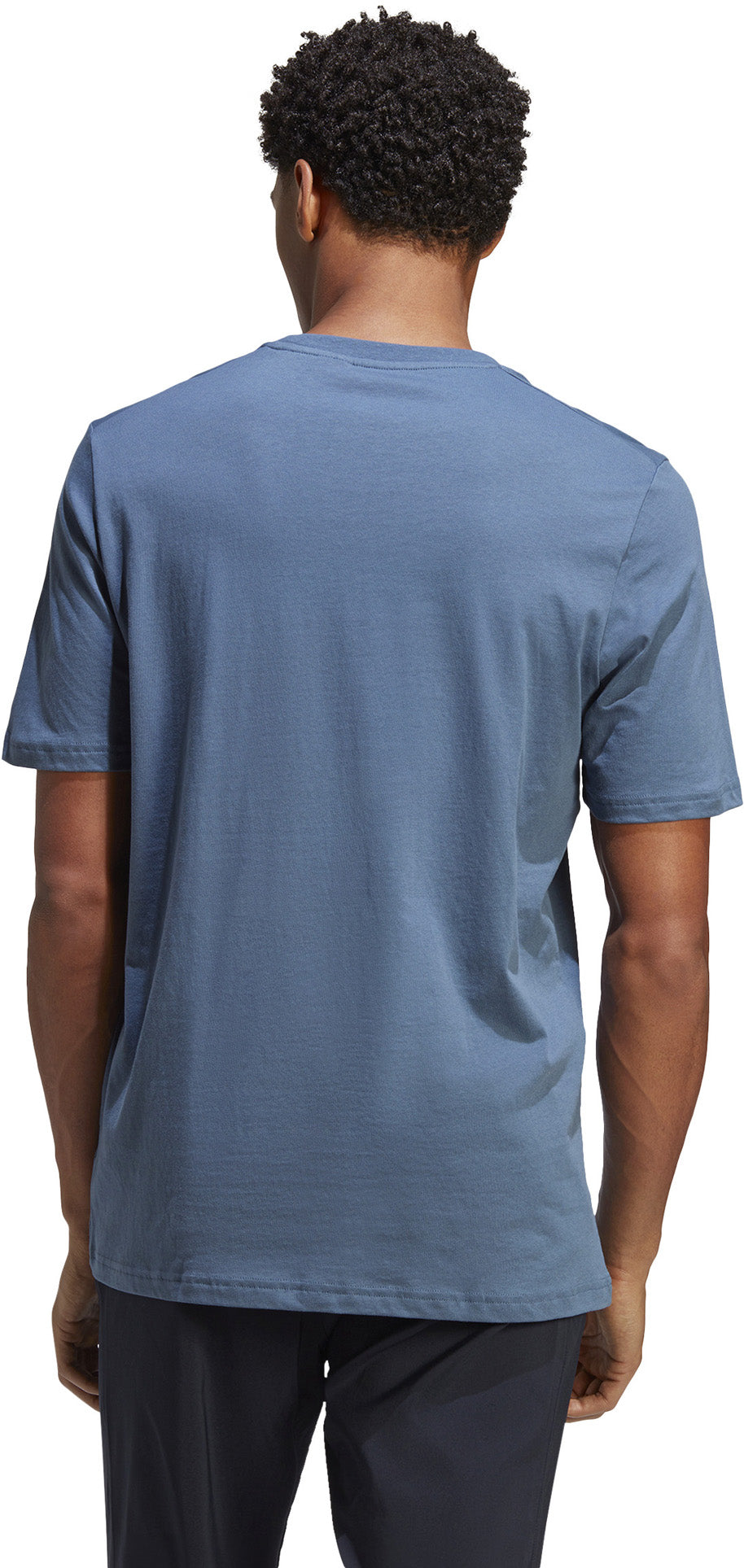 Terrex Classic Logo shirt
