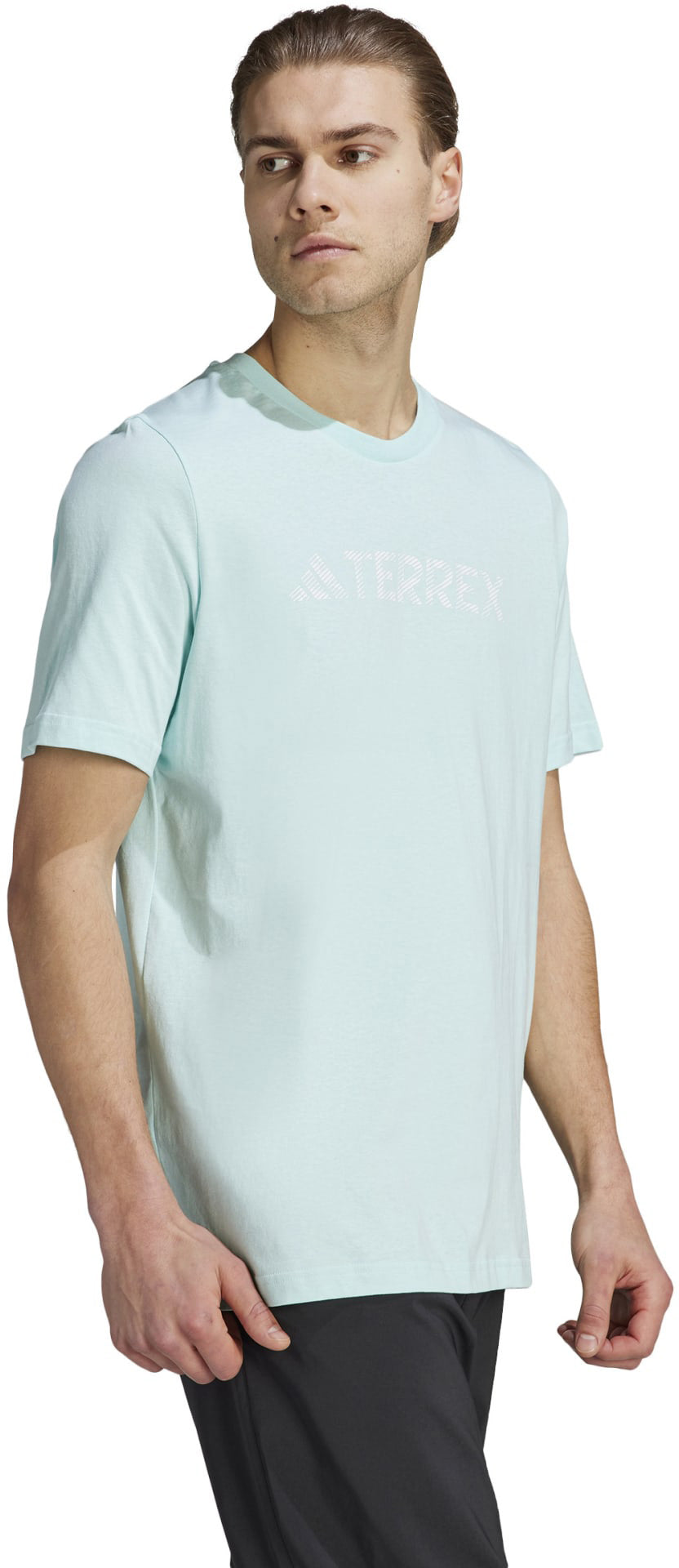 Terrex Classic Logo shirt