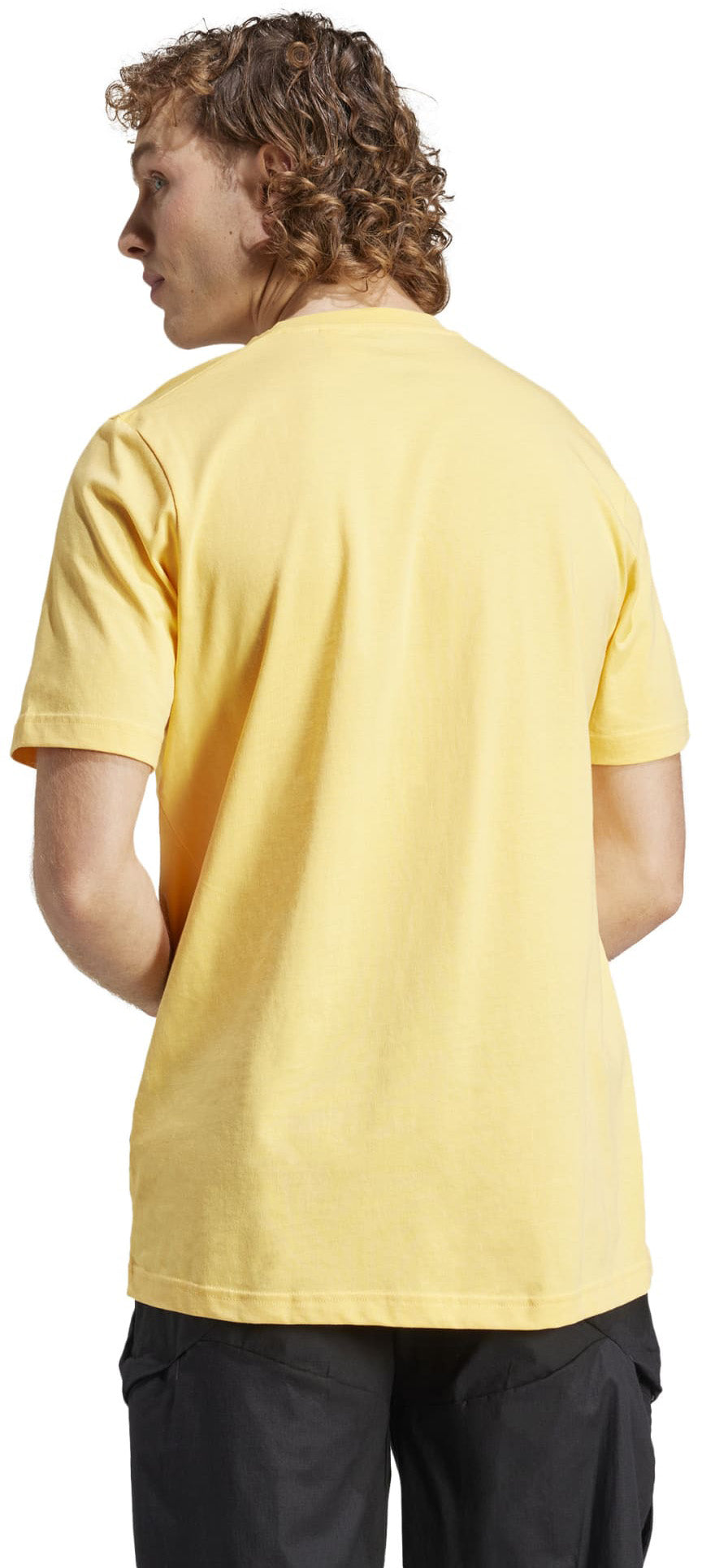 Terrex Classic Logo shirt