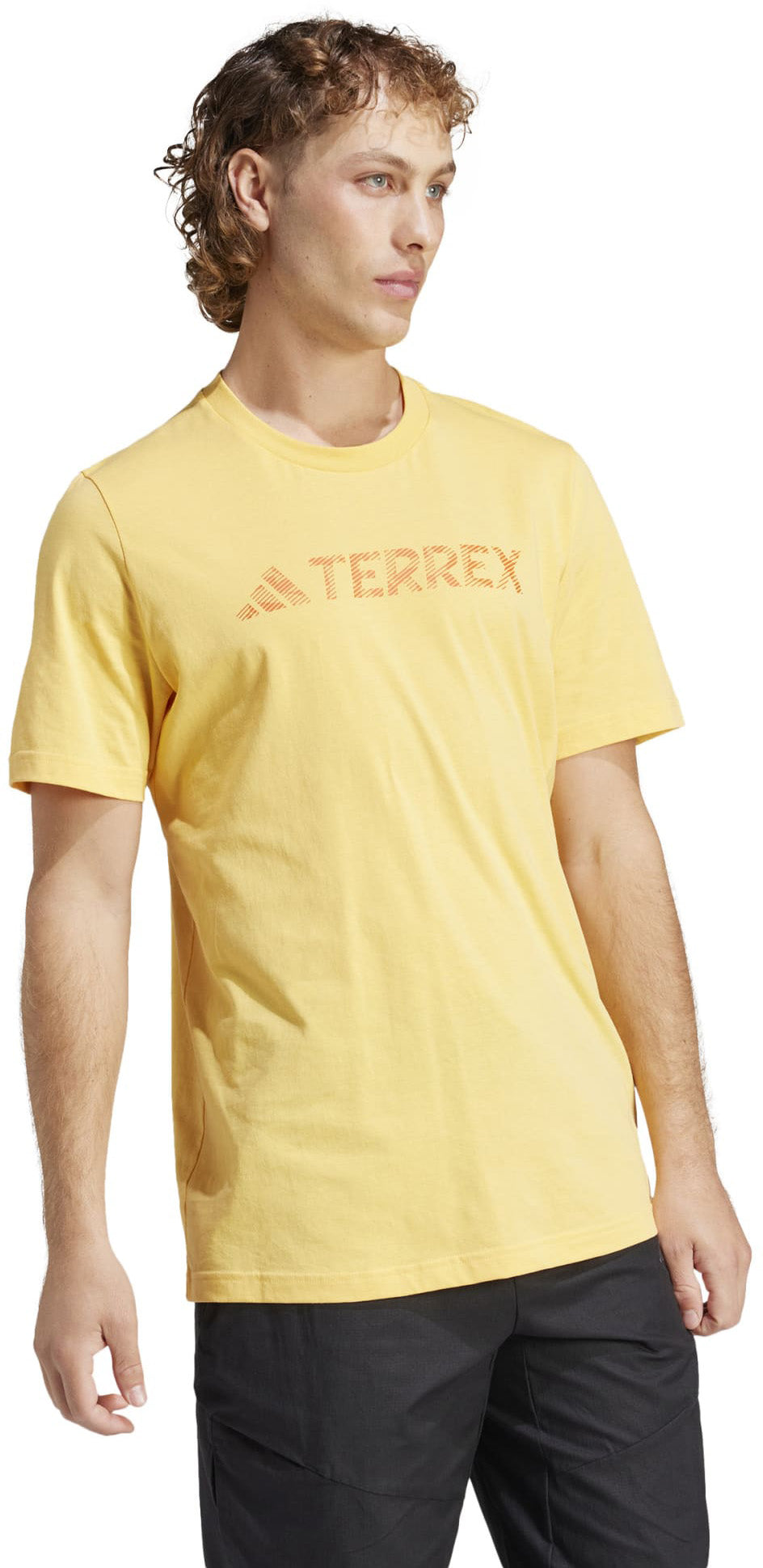 Terrex Classic Logo shirt