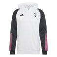 Juventus Tiro 23 hoodie