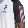 Juventus Tiro 23 trainingsshirt