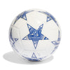 UCL Club 23/24 Groepsfase voetbal