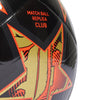 UCL Club 23/24 Groepsfase voetbal