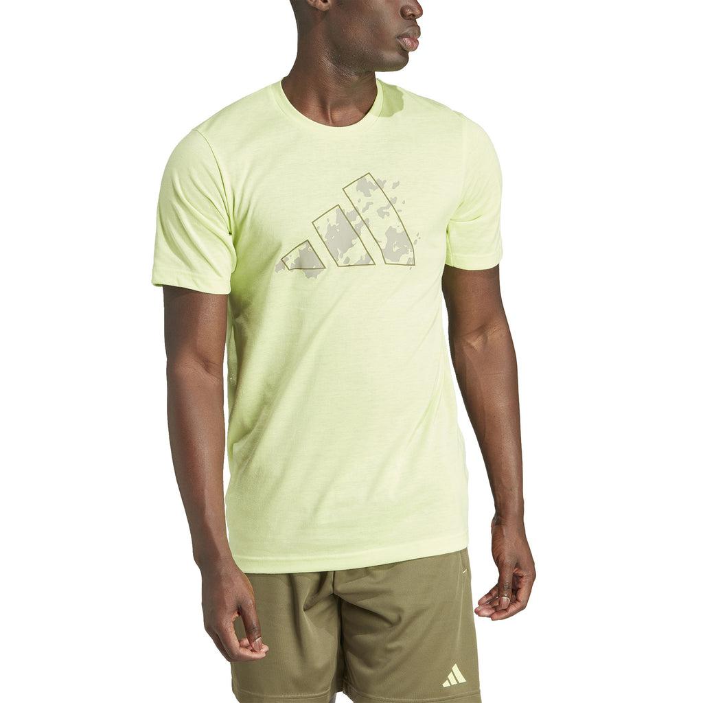Train Essentials Seasonal Training Graphic shirt