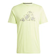 Train Essentials Seasonal Training Graphic shirt
