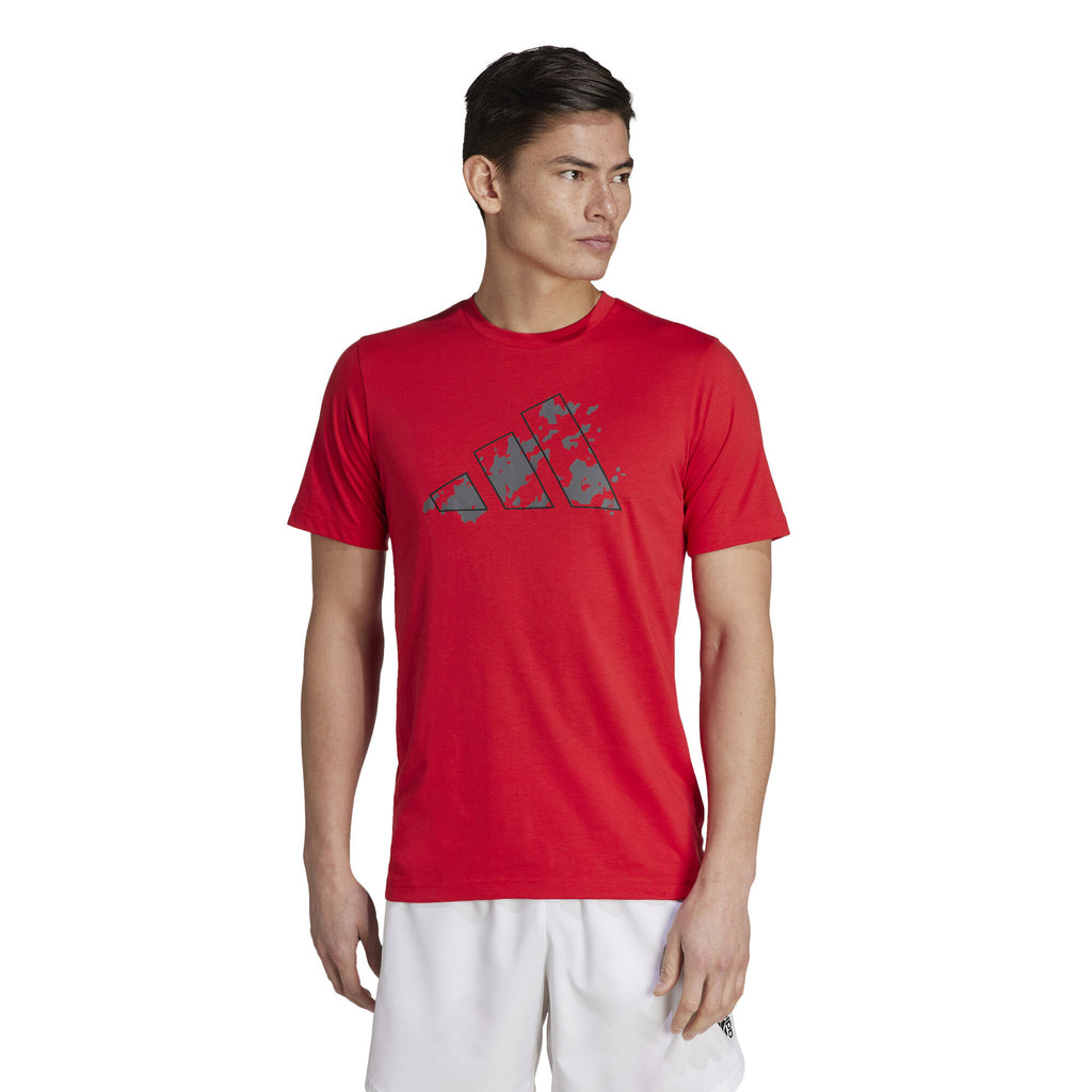 Train Essentials Seasonal Training Graphic shirt