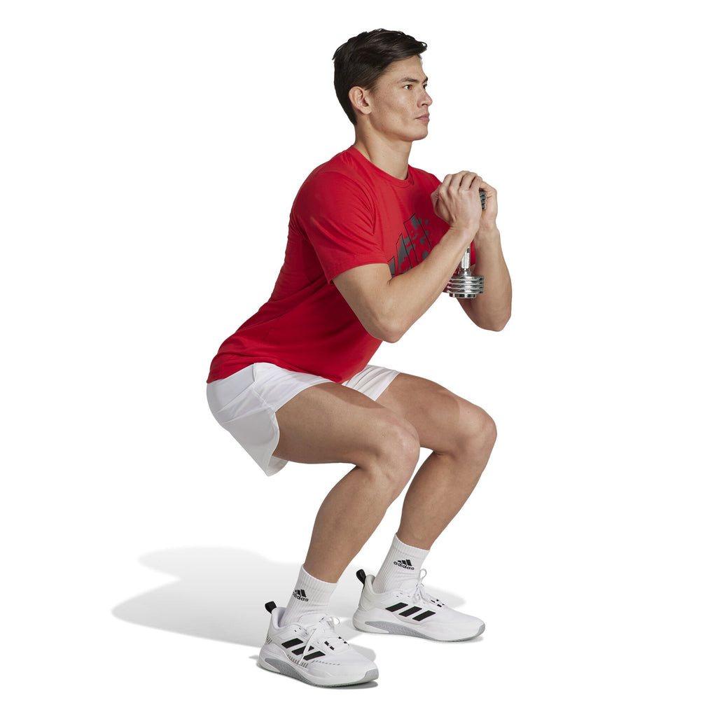 Train Essentials Seasonal Training Graphic shirt