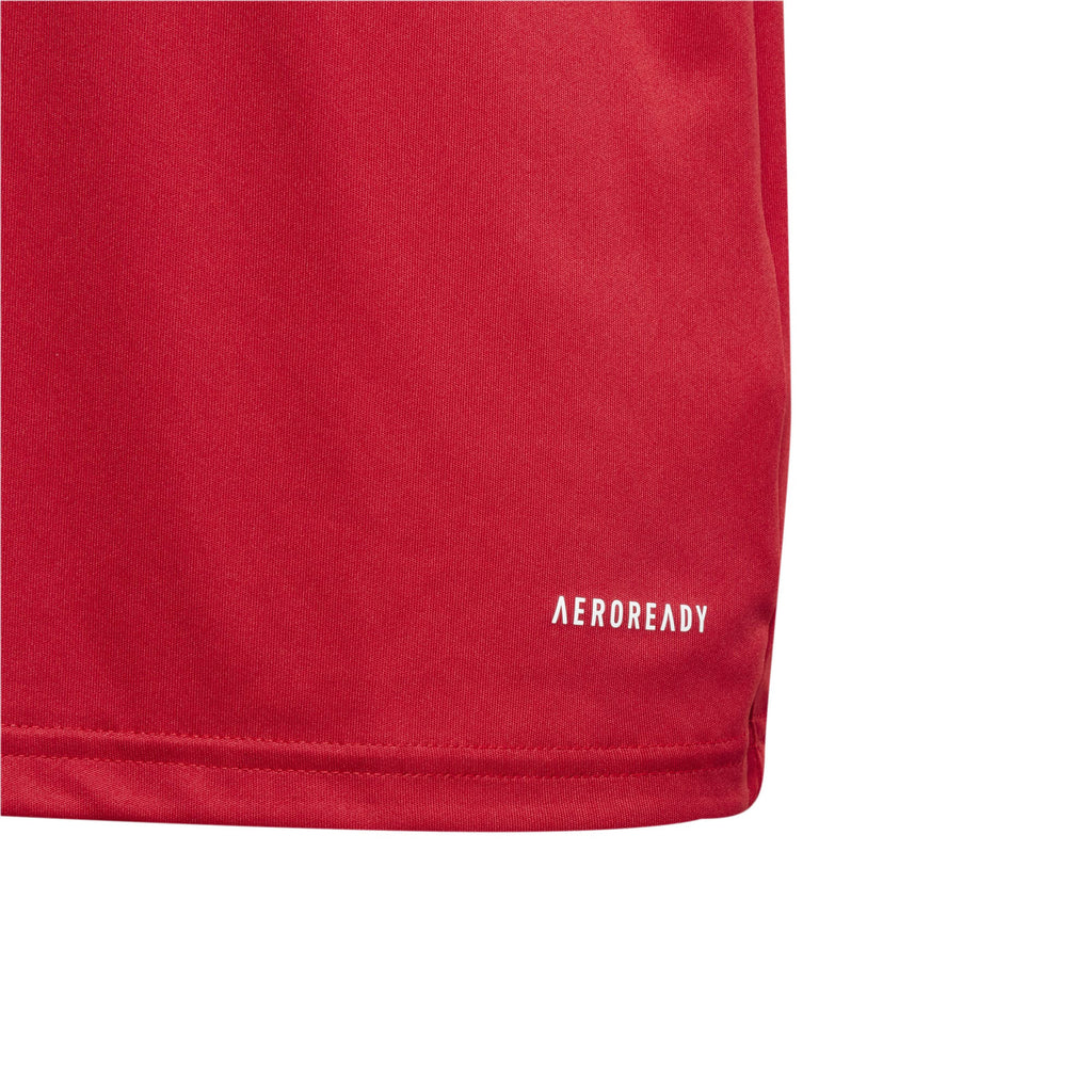 Fortore 23 voetbalshirt