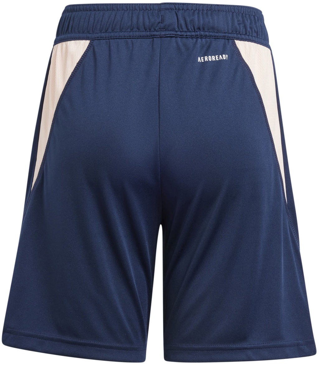 Ajax Amsterdam Tiro 23 kids trainingshort