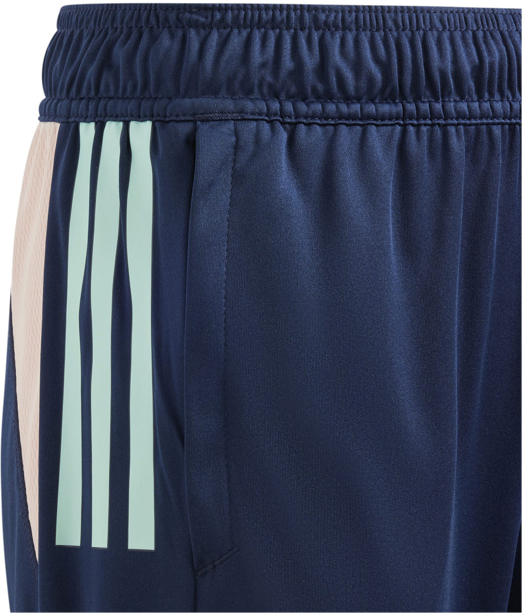 Ajax Amsterdam Tiro 23 kids trainingshort
