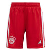 FC Bayern München 23/24 mini thuistenue