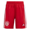 FC Bayern München 23/24 mini thuistenue