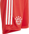 FC Bayern München 23/24 kids trainingsshort