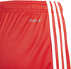 FC Bayern München 23/24 kids trainingsshort