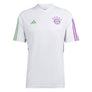 FC Bayern München Tiro 23 trainingsshirt
