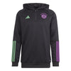 FC Bayern München Tiro 23 hoodie