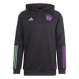 FC Bayern München Tiro 23 hoodie