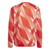 FC Bayern München Pre-Match Warm sweater