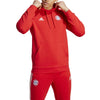 FC Bayern München DNA hoodie