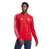 Arsenal DNA Graphic sweater