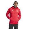 Arsenal DNA hoodie