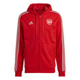 Arsenal DNA ritshoodie