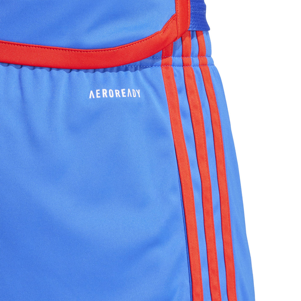 Olympique Lyonnais 23/24 uitshort