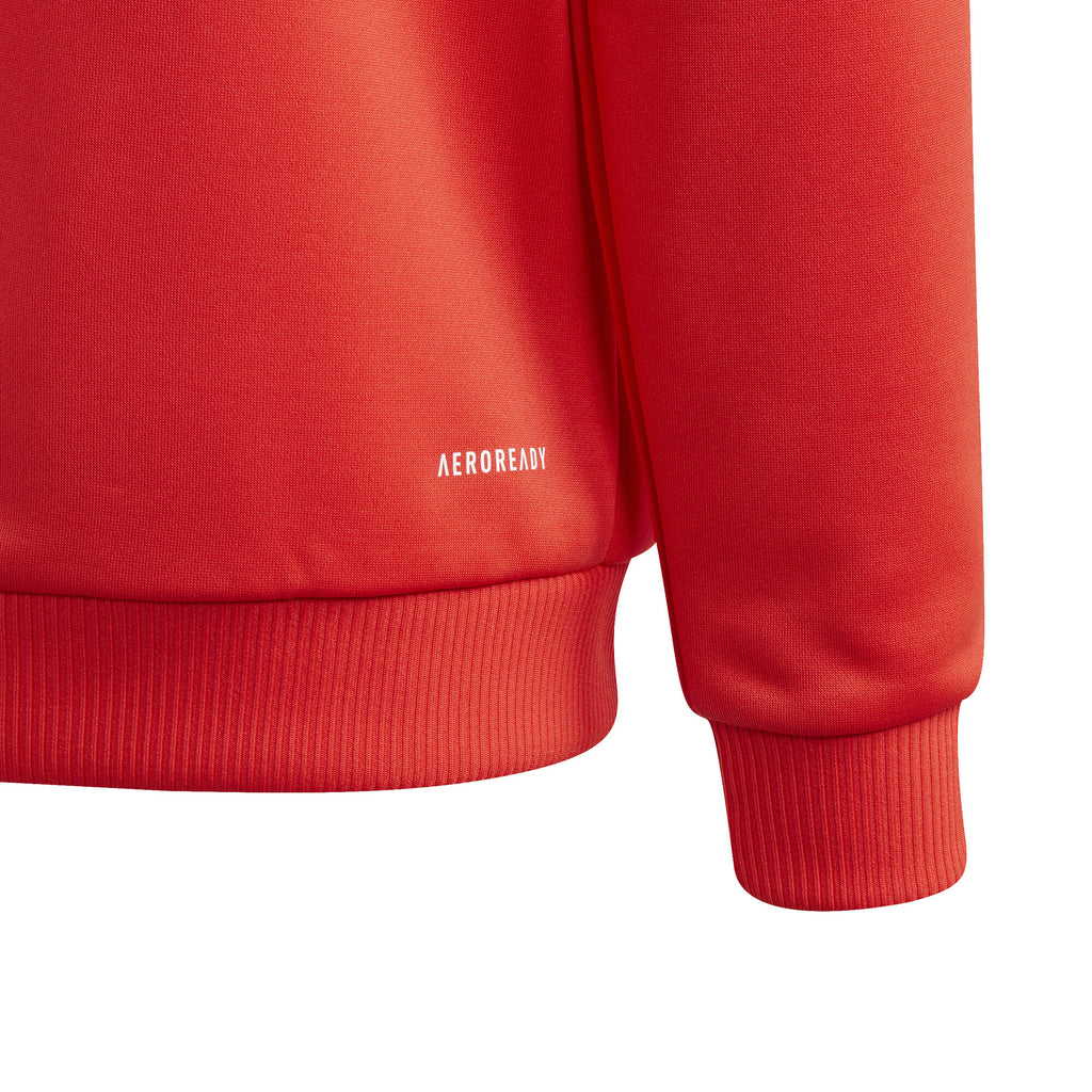 Train Essentials AEROREADY 3-Stripes Regular-Fit hoodie