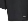 Dance Crop shirt Kids